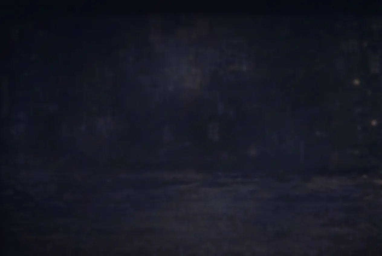 Nighterfly's profile