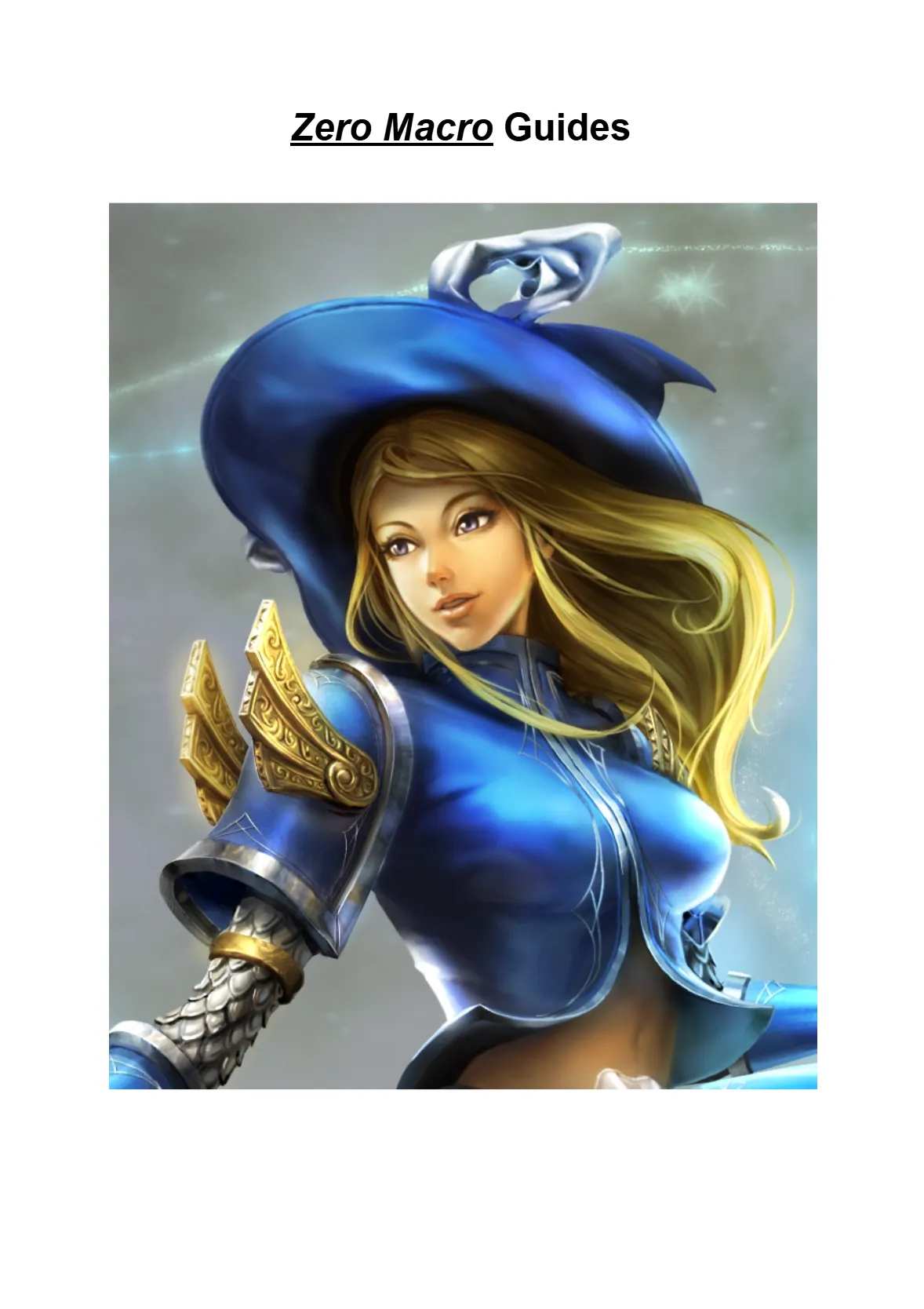Zero Macro Guide Network