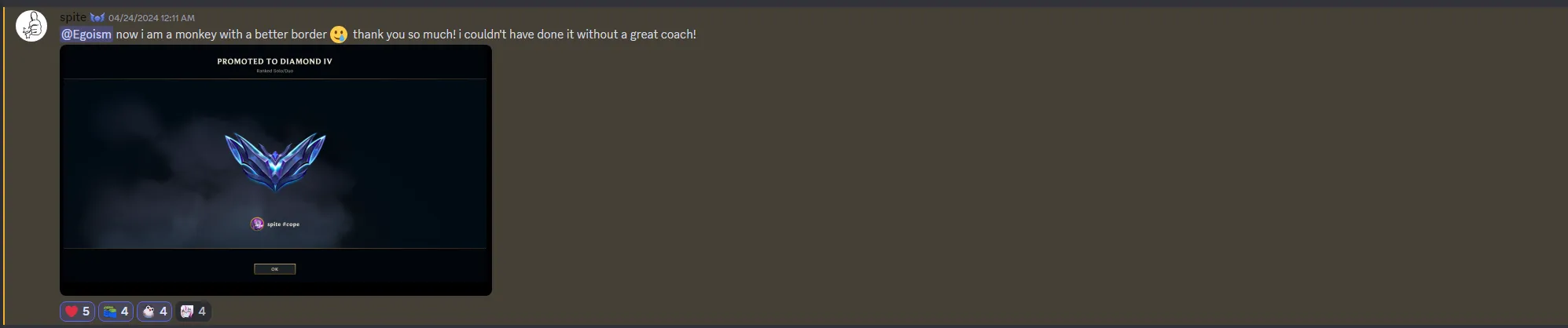 External review proof